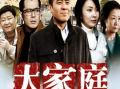 电视剧大家庭剧情介绍,温情岁月里的亲情纠葛