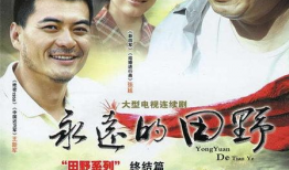 原野电视剧,烽火岁月里的青春传奇