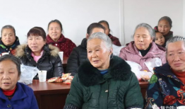 罗家镇的女人电视剧,命运交织的岁月传奇