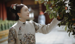 陈晓和秦岚演的电视剧,陈晓秦岚演绎的浪漫传奇