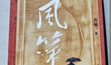 电视剧风筝原著,揭秘谍战风云中的信仰与爱情