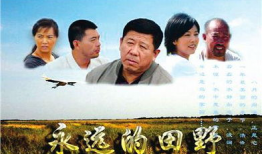 原野电视剧,烽火岁月里的青春传奇