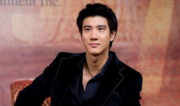 王力宏电视剧有哪些,从音乐才子到电视剧演员的华丽转身