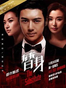 替身电视剧,身世之谜与复仇之路