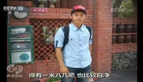 反间谍电视剧,揭秘反间谍战线的生死较量