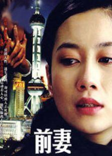 前妻 电视剧,爱恨纠葛，命运轮回